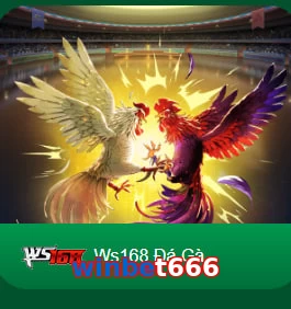 winbet666